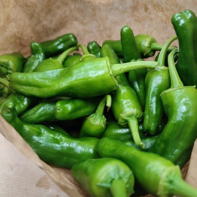 Pimiento padrón ecológico "Cantamisina" 350g BIO