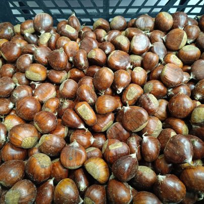 Castañas ecológicas 500g BIO