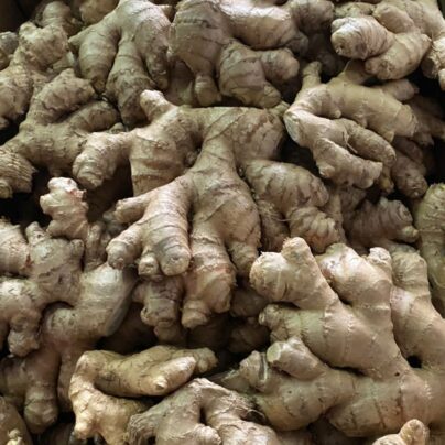 Jengibre 100g BIO