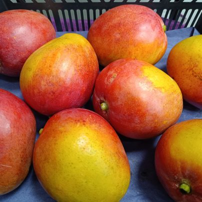 Mango ecológico BIO