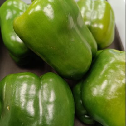 Pimiento verde ecológico "Cantamisina" 500g  BIO