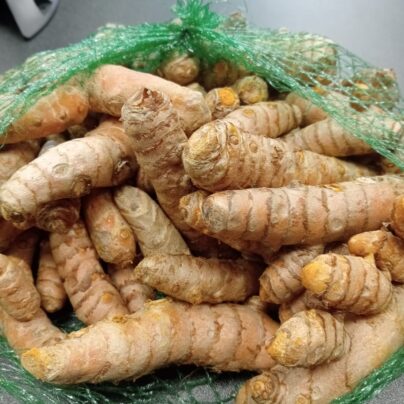 Cúrcuma raíz 100g BIO