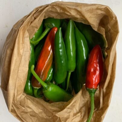 Jalapeños ecológicos "Cantamisina" 300g BIO