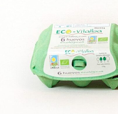 Huevos Eco-Vilalba 6 unidades BIO