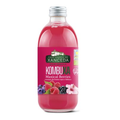 Kombuxa berries Xanceda 250ml BIO