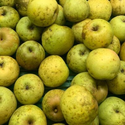 Manzana Gold rush Cantamisina BIO