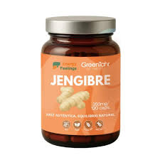 Jengibre Energy Feelings 120 cápsulas BIO