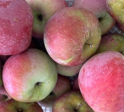 Manzana roja enterprise "Cantamisina" BIO