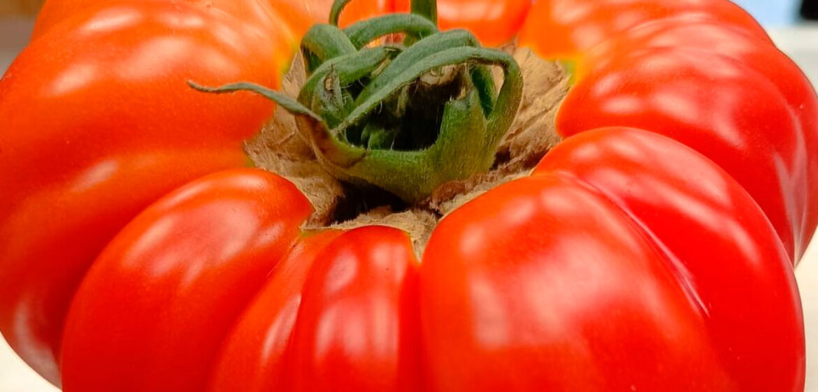 productos-frescos-cantamisina-frutas-y-hortalizas-venta-online