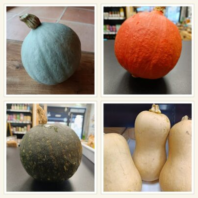 Lote de calabazas ecológicas Cantamisina BIO