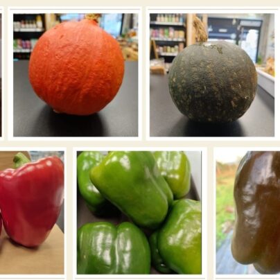 Lote de calabaza y pimientos ecológico Cantamisina BIO