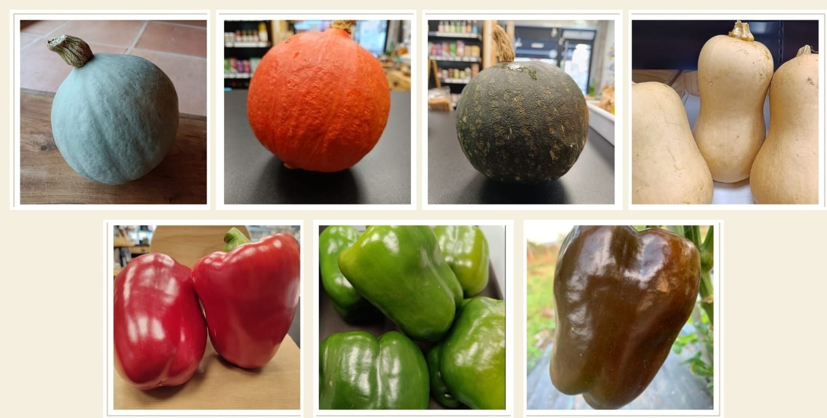 Lote de calabaza y pimientos ecológico Cantamisina BIO